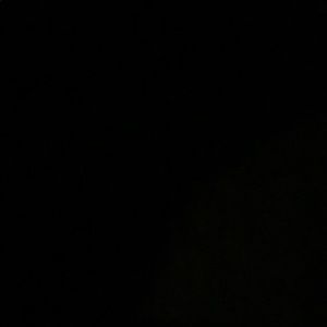 Meet your Posher, Reginald